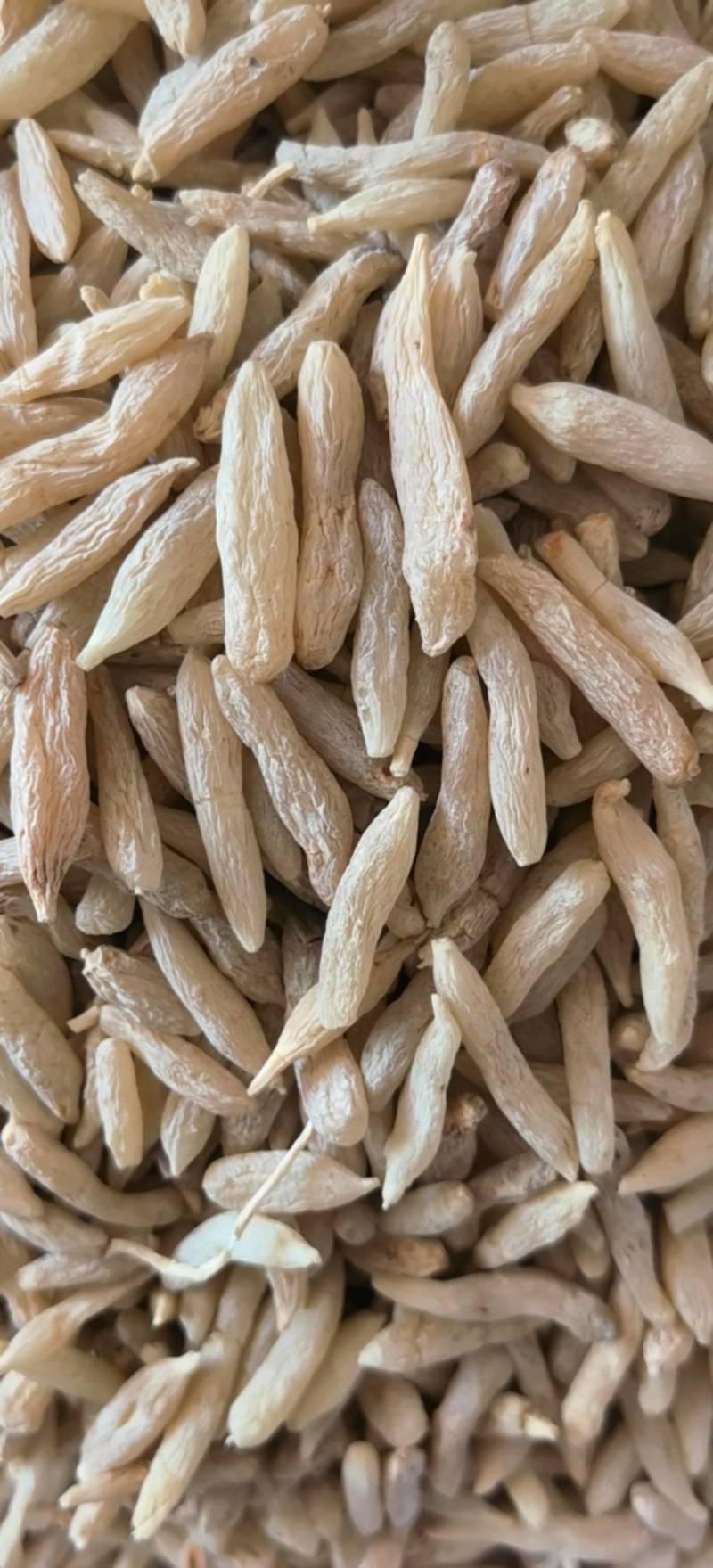 麦冬川麦冬精选货关书药业批发中药材1000g起批