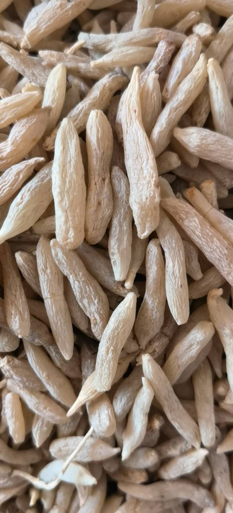 麦冬川麦冬精选货关书药业批发中药材1000g起批