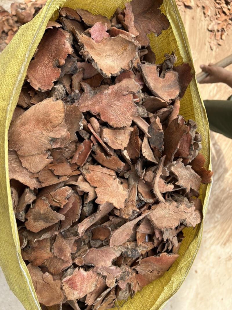 野生红肉土茯苓