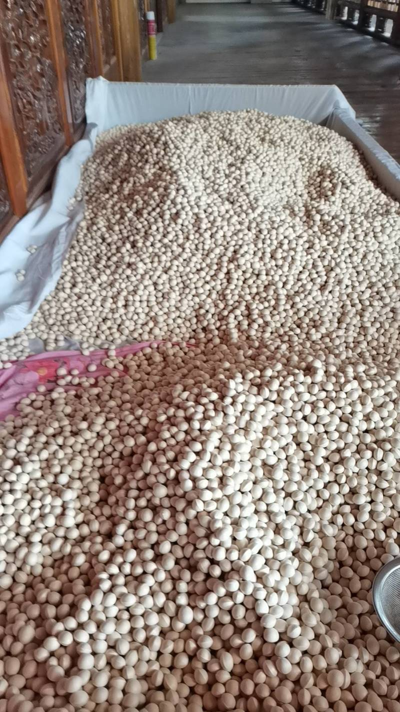 大树糯白果