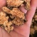 苍术朱砂点苍术选1000g起批关书药业