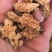 苍术朱砂点苍术选1000g起批关书药业