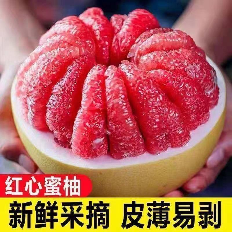 湖北蜜柚红心柚白心柚电商市场团购产地直发免费看货