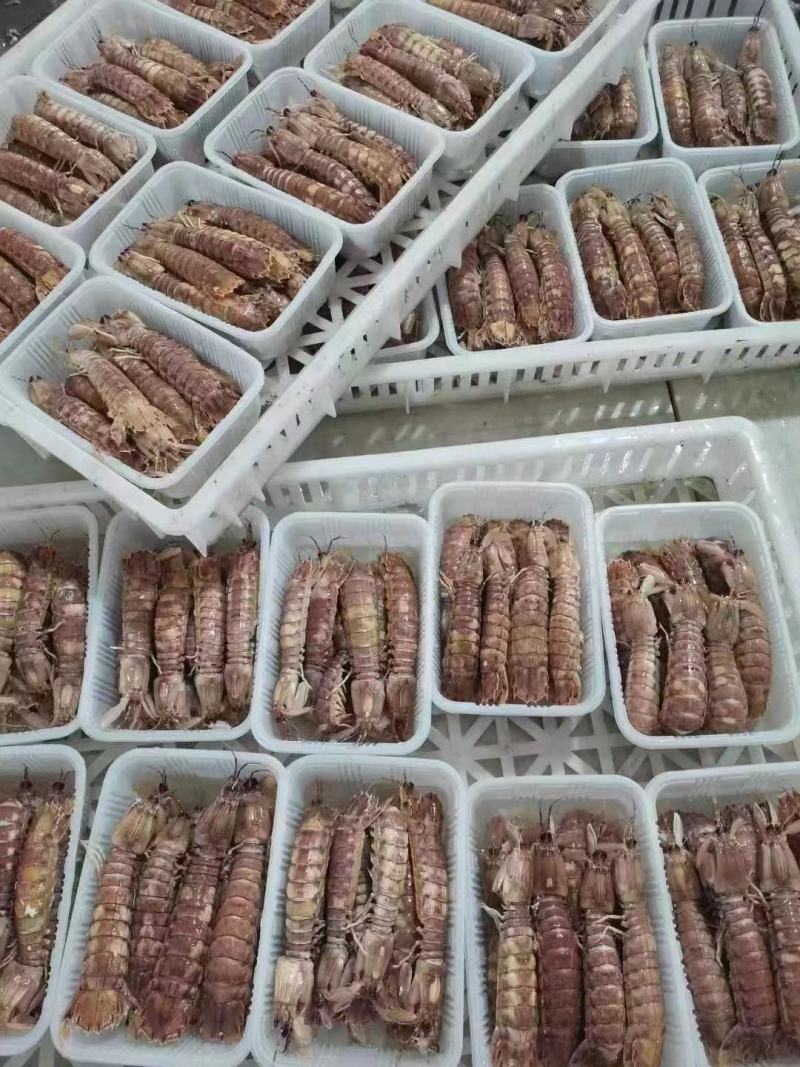 皮皮虾肉