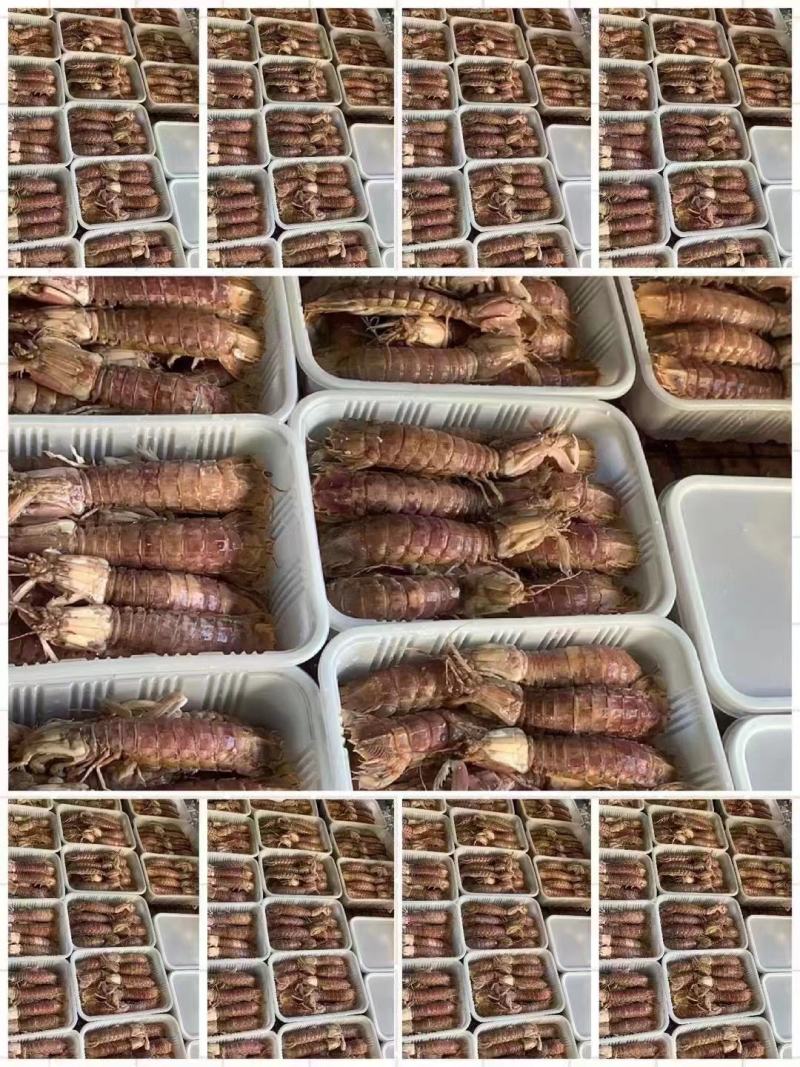 皮皮虾肉
