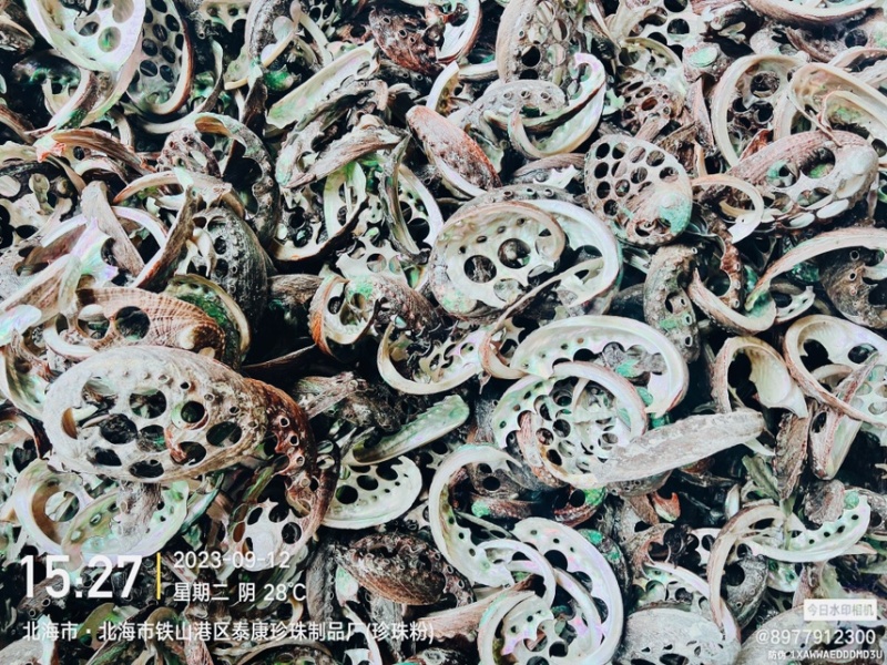 鲍鱼壳碎料免费送样石决明
