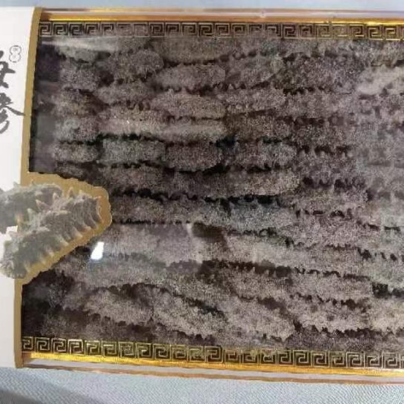 各种干海参批发，欢迎选购
