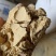 小米油糠(高端)蛋白脂肪26-30饲料厂用可支持检测