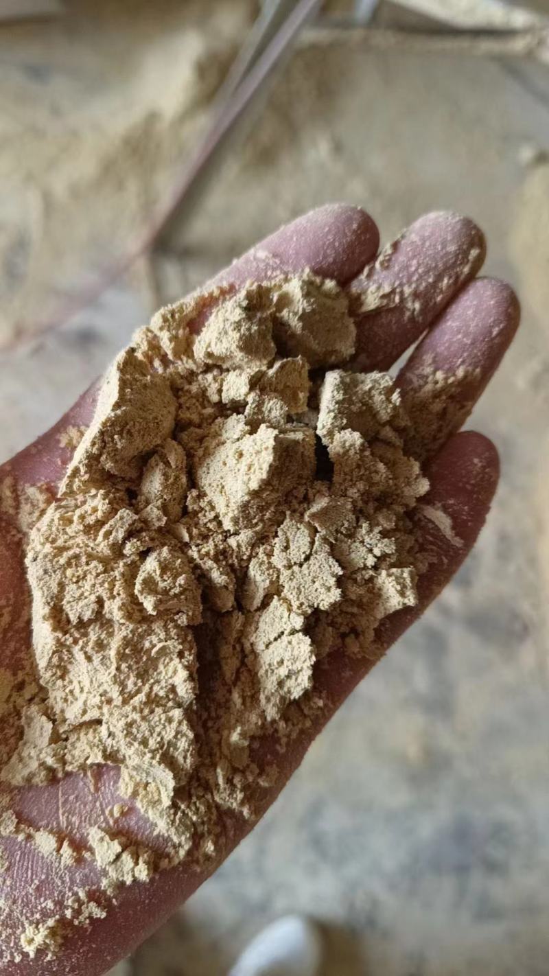 小米油糠(高端)蛋白脂肪26-30饲料厂用可支持检测
