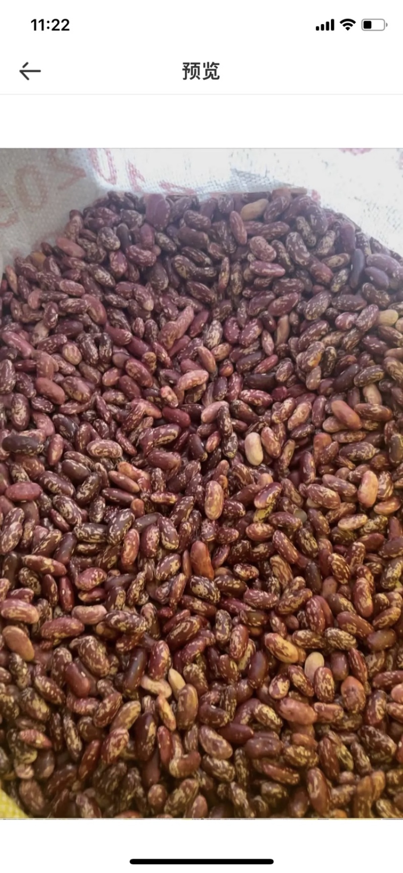 红花豆大量有货保质保量支持线上下单欢迎订购