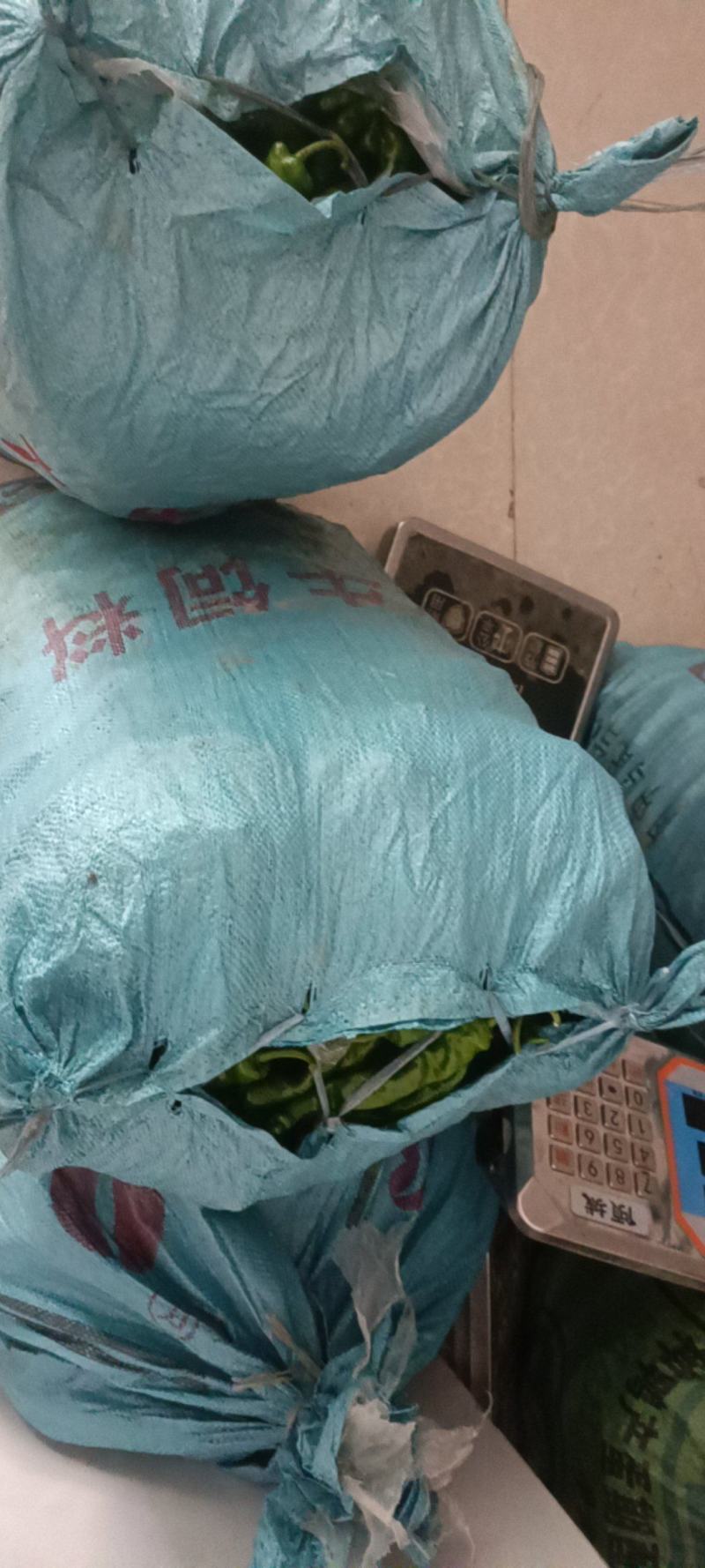 安徽小皱皮辣椒，鲜辣椒辣椒新鲜辣椒小皱皮辣椒