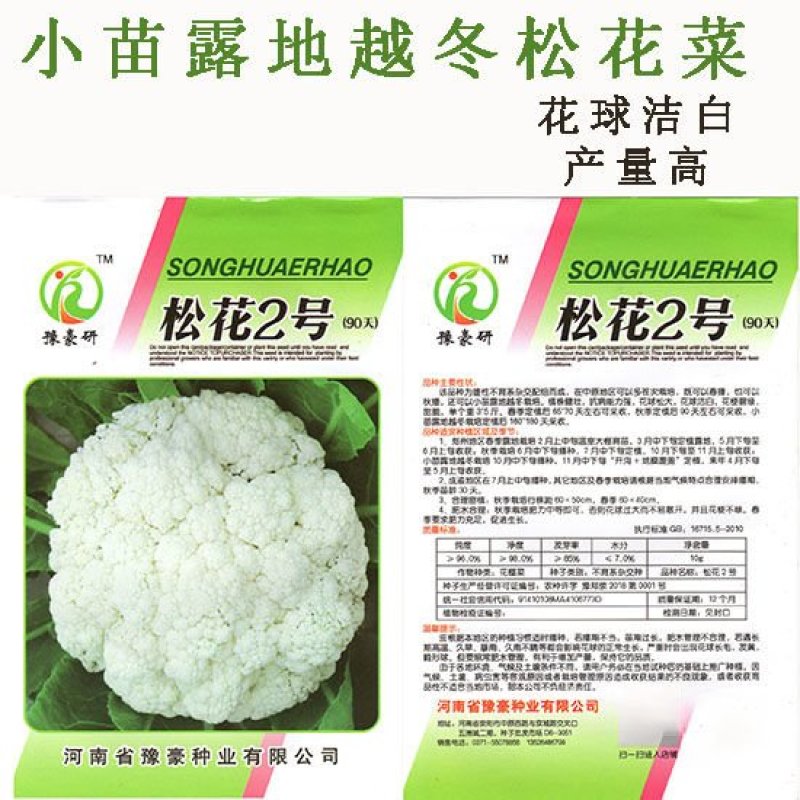 松花2号露地越冬松花菜种子青梗白花耐寒春秋越冬松花菜花种