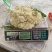 松花2号露地越冬松花菜种子青梗白花耐寒春秋越冬松花菜花种