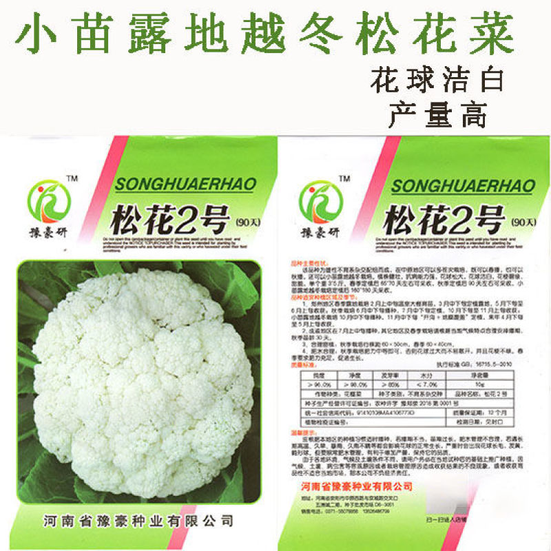 松花2号露地越冬松花菜种子青梗白花耐寒春秋越冬松花菜花种