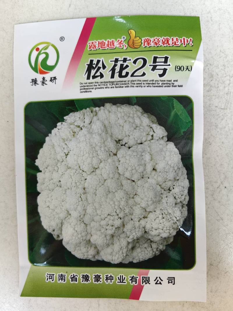 松花2号露地越冬松花菜种子青梗白花耐寒春秋越冬松花菜花种