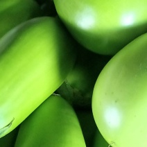 河南省内黄县王保昌果蔬商行青茄子大量上市
