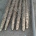 临漳铁棍大量开挖