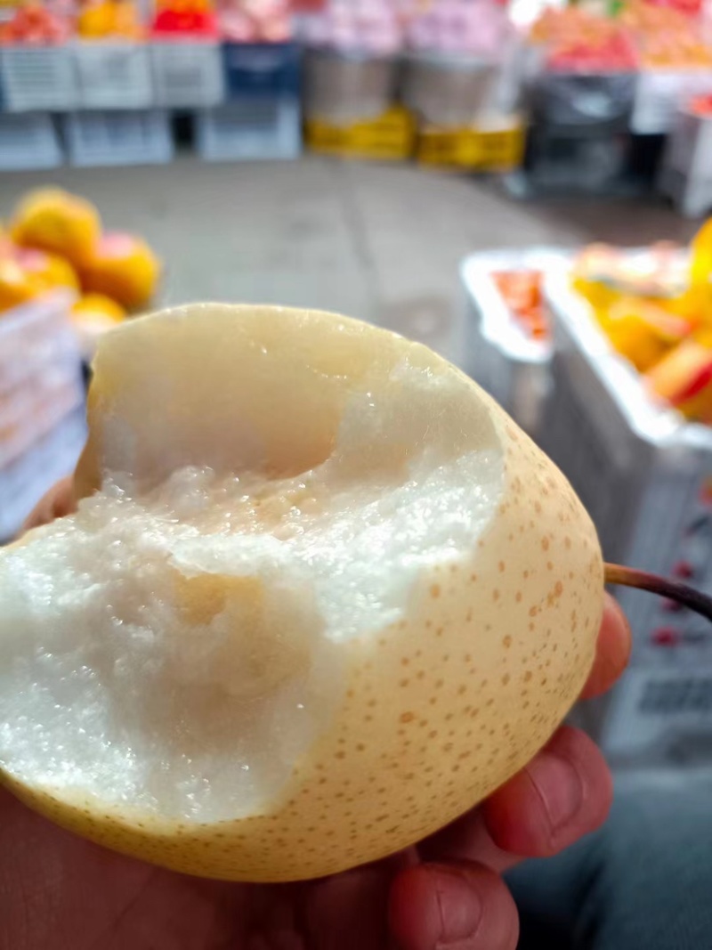 精品砀山酥梨皮薄水分足，个头均匀产地直销量大从优