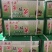 【泡菜】酸菜鱼酸菜400g200g袋装开胃酸菜