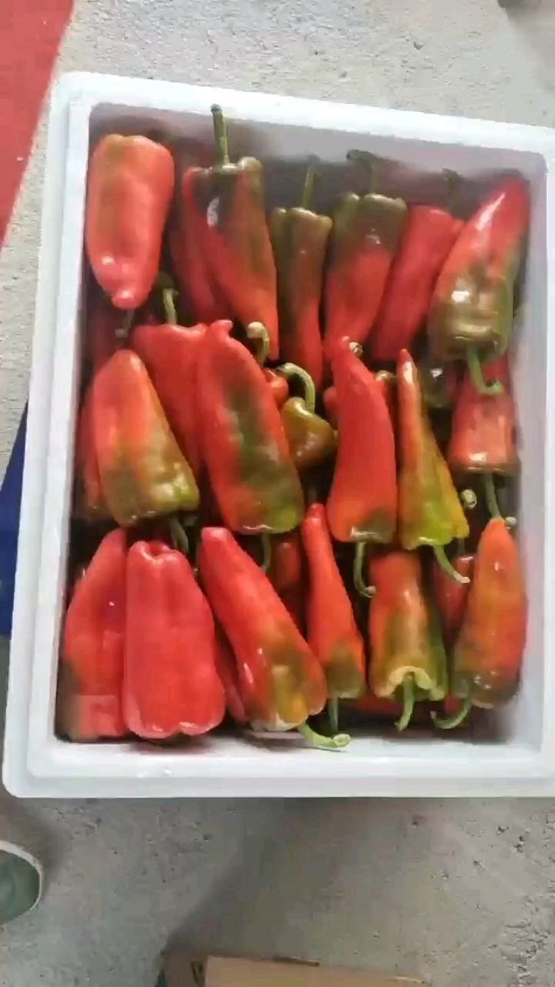红泡椒红线椒产地直发加工厂批发长期供货保质保量