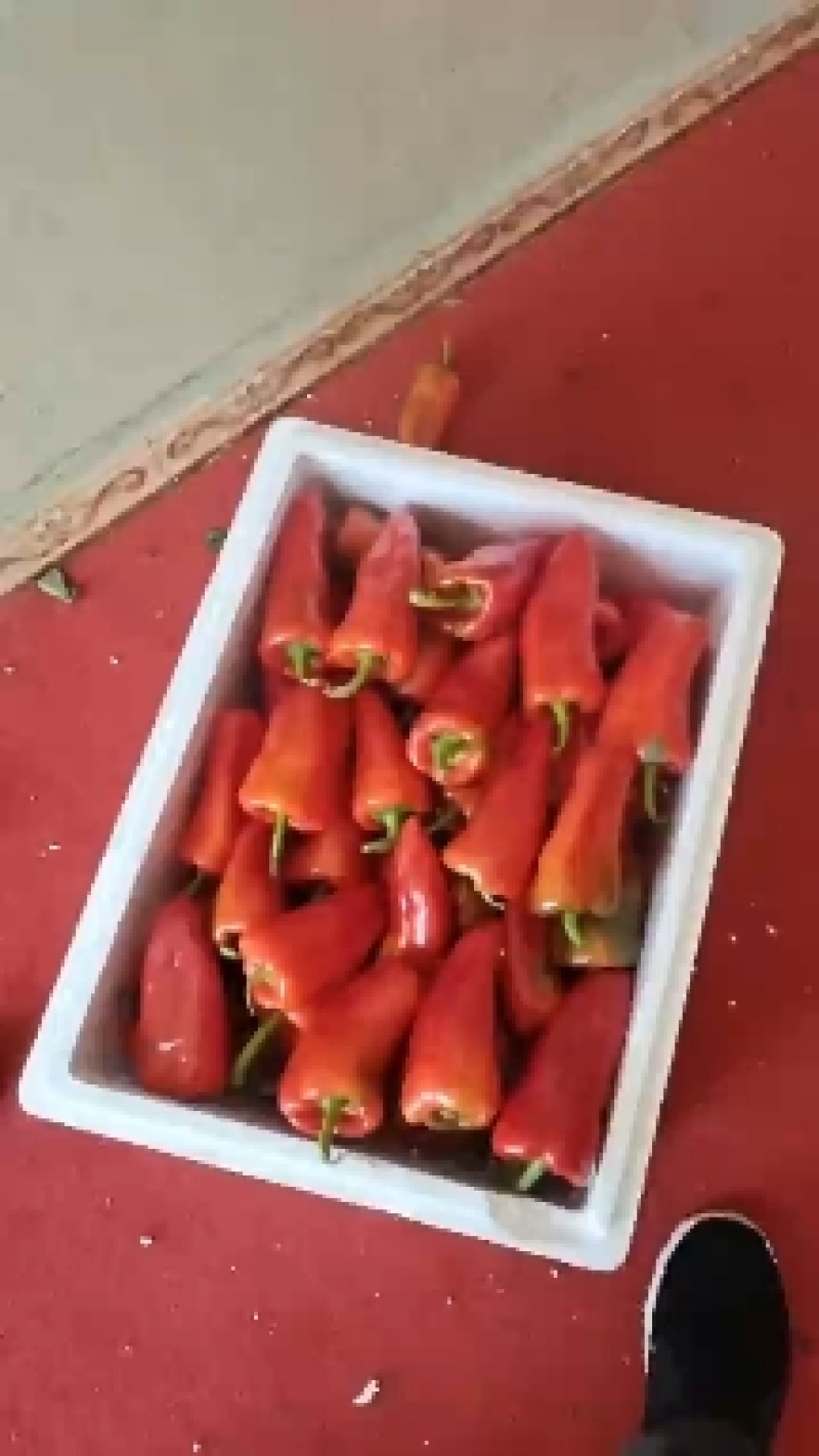 红泡椒红线椒产地直发加工厂批发长期供货保质保量