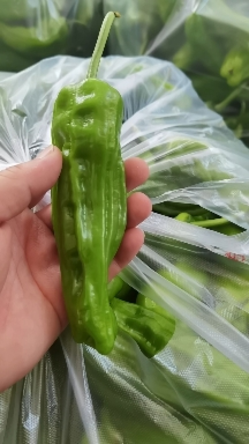 红泡椒红线椒产地直发加工厂批发长期供货保质保量