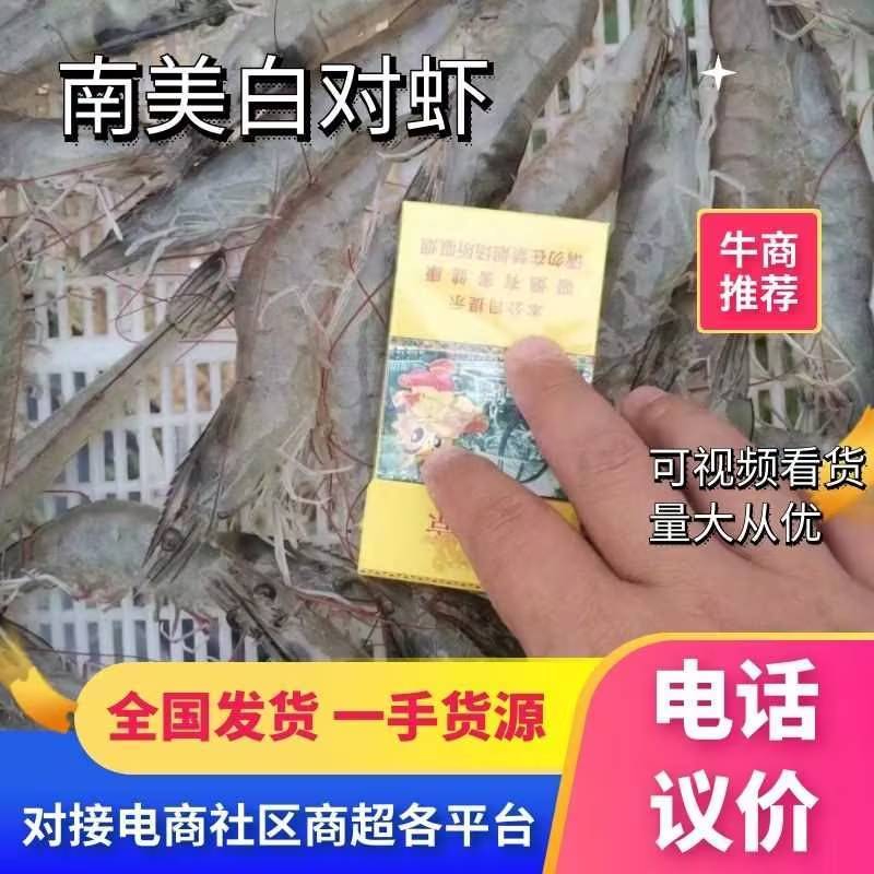 精品南美白对虾白对虾货源充足量大从优质量保证欢迎咨询