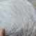 【好口感】拉丝雪燕野生