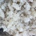 【好口感】拉丝雪燕野生