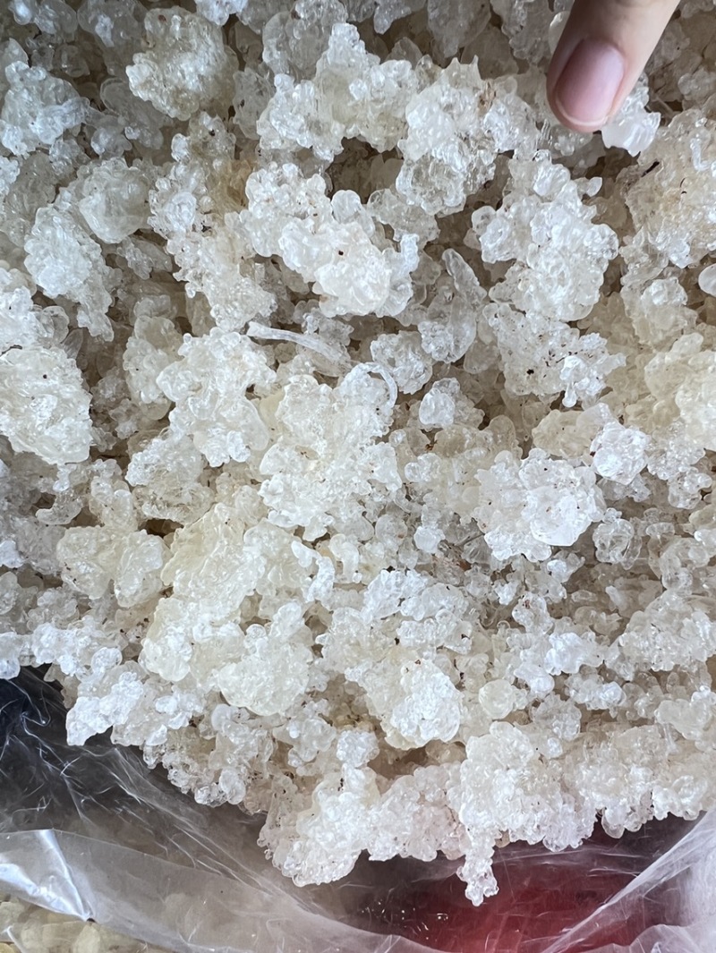 【好口感】拉丝雪燕野生