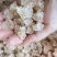 【好口感】拉丝雪燕野生