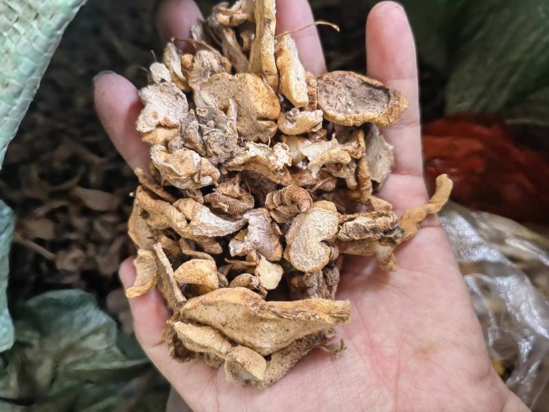 滇黄精片云南滇黄精片统货滇黄精片