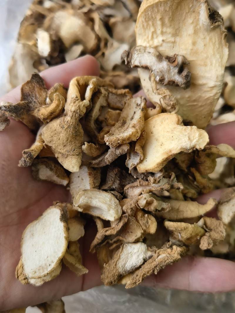滇黄精片云南滇黄精片统货滇黄精片