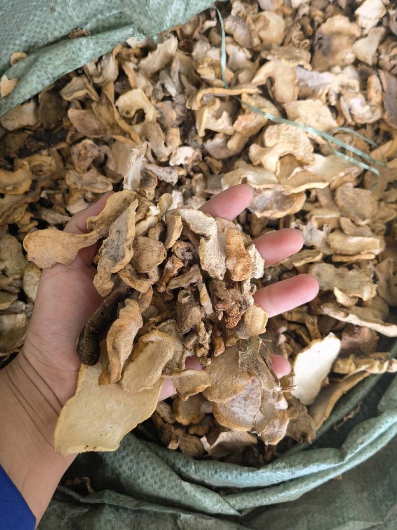 滇黄精片云南滇黄精片统货滇黄精片
