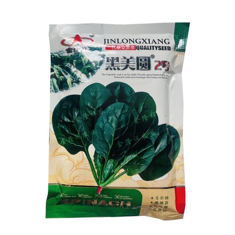 黑美圆2号菠菜种子长圆叶菠菜籽叶深绿耐热耐寒红春秋冬速生