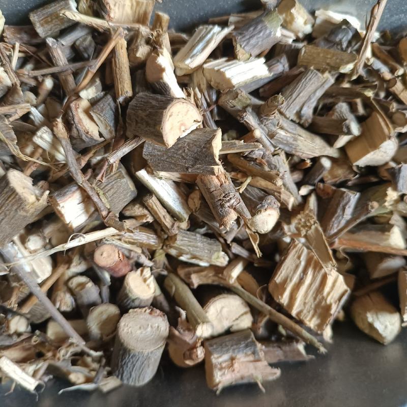 供应冷背药材柳树枝柳枝柳树条