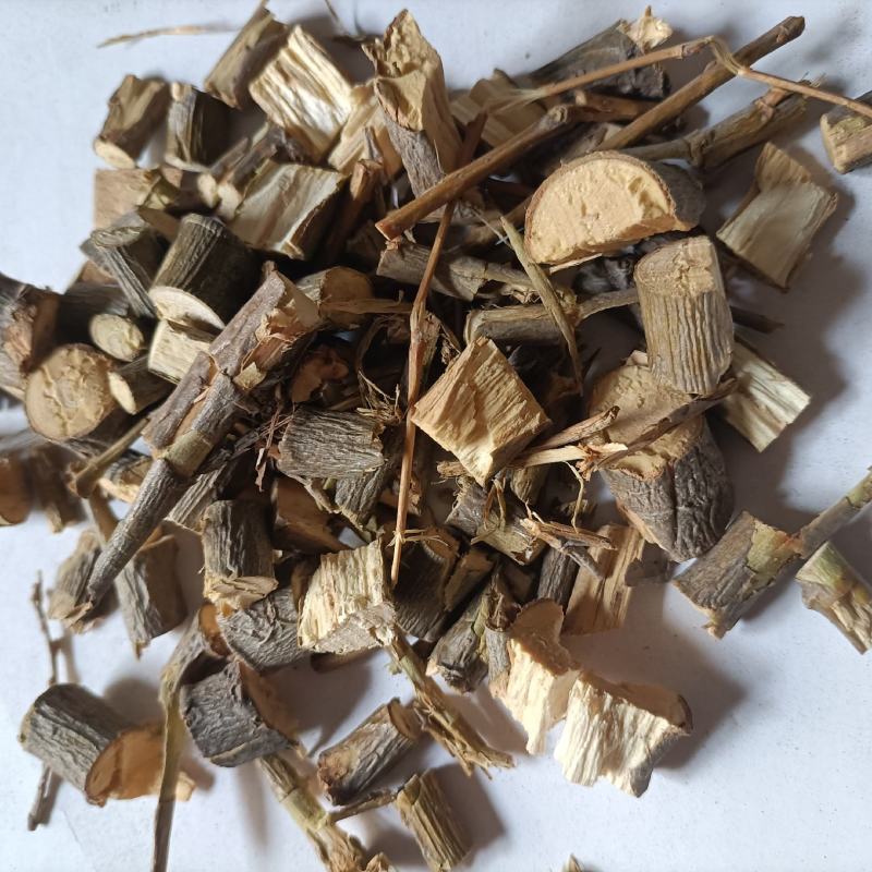 供应冷背药材柳树枝柳枝柳树条