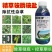 精草铵膦铵盐正品牛筋草小飞蓬果园顽固性杂草抗性杂草除草剂