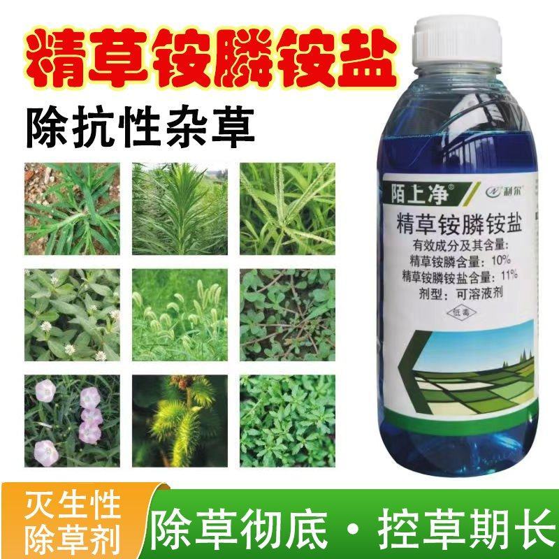 精草铵膦铵盐正品牛筋草小飞蓬果园顽固性杂草抗性杂草除草剂