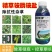 精草铵膦铵盐正品牛筋草小飞蓬果园顽固性杂草抗性杂草除草剂