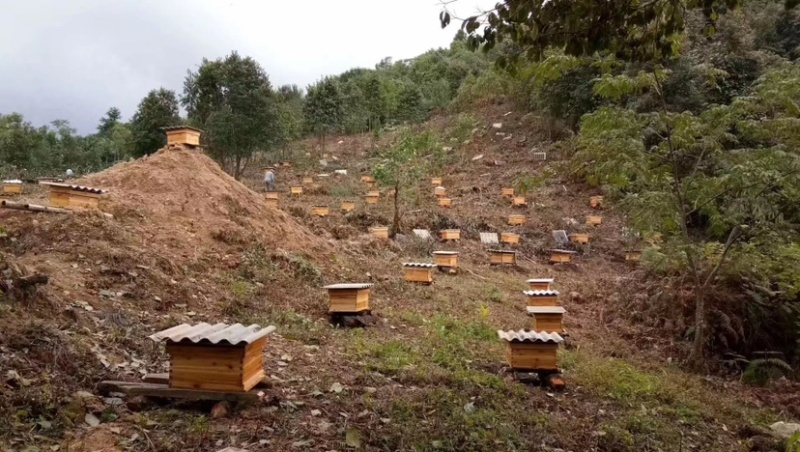 佤山野生土蜂蜜，产地直发诚信商家价格真实，欢迎选购