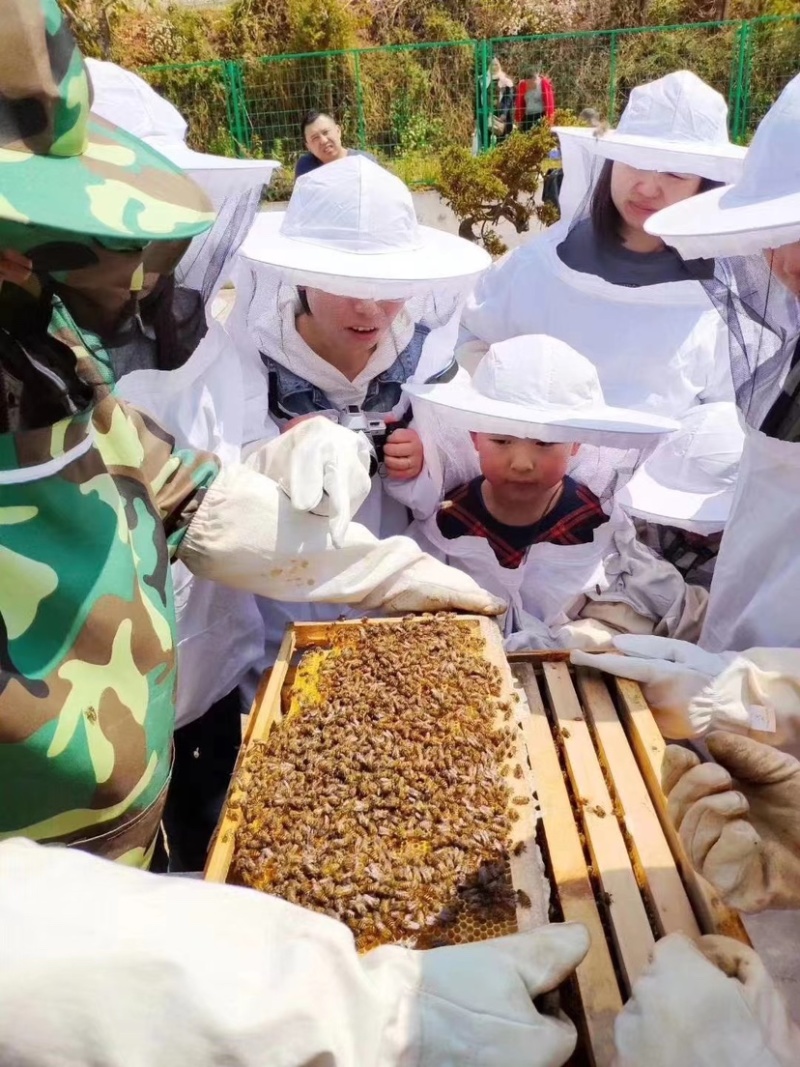 佤山野生土蜂蜜，产地直发诚信商家价格真实，欢迎选购