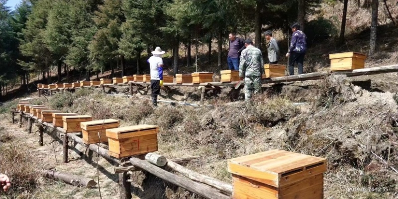 佤山野生土蜂蜜，产地直发诚信商家价格真实，欢迎选购