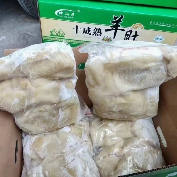 山东临沂熟羊肚一件20斤品质保证全国发货