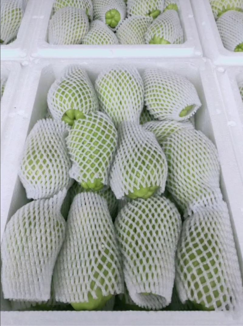 产地直发