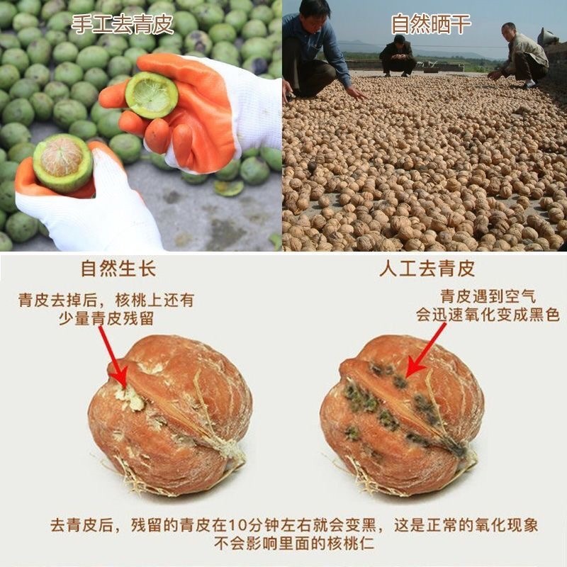 云南纸皮核桃精品货源大量出售一手货源供批发零售欢迎