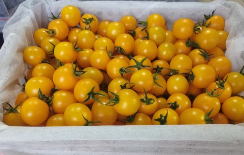 彩色玲珑果