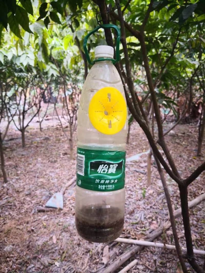 果蝇诱捕器配件实蝇诱捕器果蝇入口万蝇迷诱捕入口