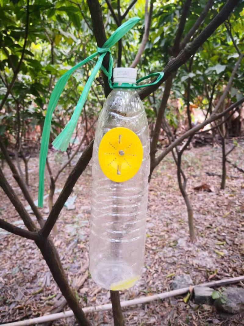 果蝇诱捕器配件实蝇诱捕器果蝇入口万蝇迷诱捕入口