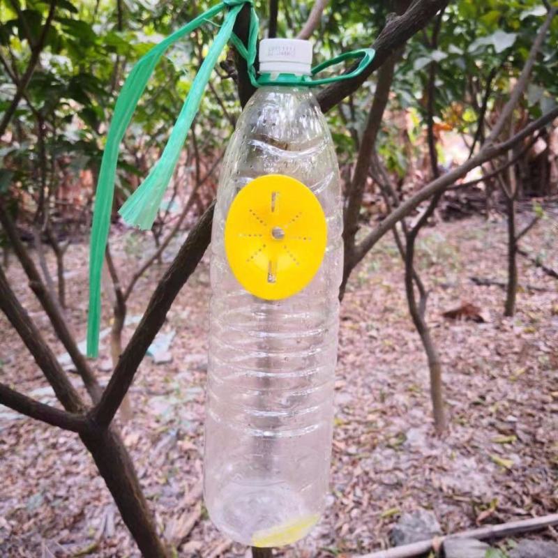 果蝇诱捕器配件实蝇诱捕器果蝇入口万蝇迷诱捕入口